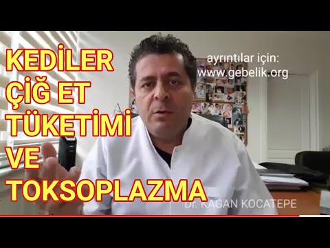 Video: Toksoplazmoz Sorunları - Hamile Kadınlar İçin Önlemler - Kedi Kumu - Kedi Dışkısı