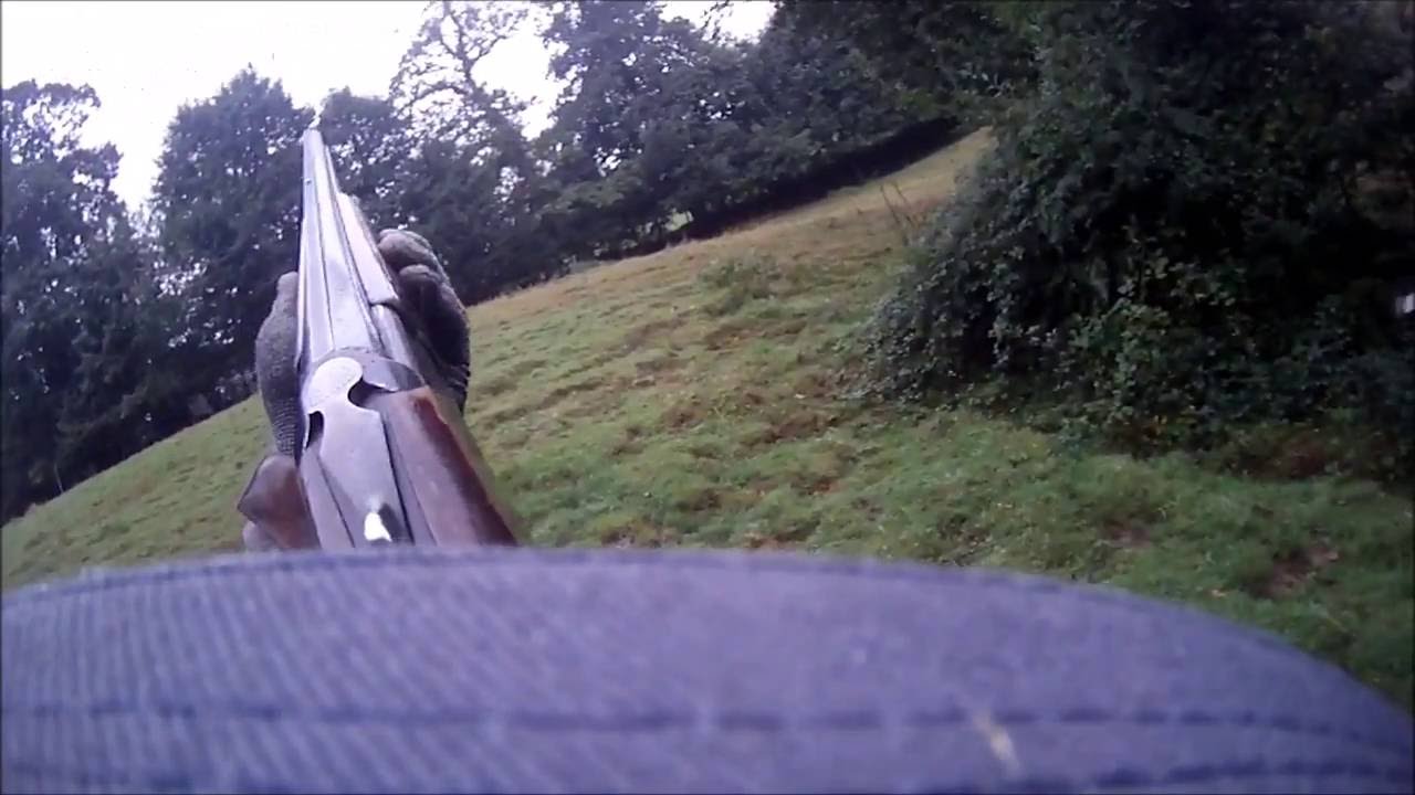 Chasse aux lapins en Normandie