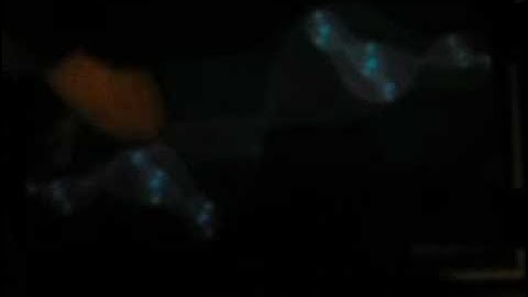 STM32F4 - Julia Set Fractal Demo (no FPU)