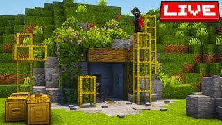 Chill Building Stream