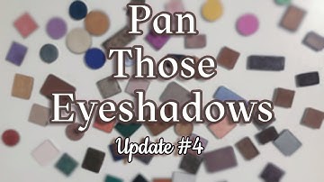 Pan Those Eyeshadows 2024 | Update 4