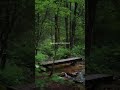 #canada#nature #most#explore #views_viral_video_subscribers_grow #natrure #beautiful 🇨🇦🇨🇦🇨🇦🇨🇦🤯🤯🤯🤯🤯