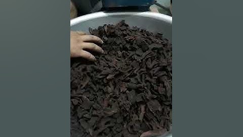 Nghiền Hà Thủ Ô đỏ đã chưng đỗ đen bổ máu, trị tóc rụng, tóc bạc sớm