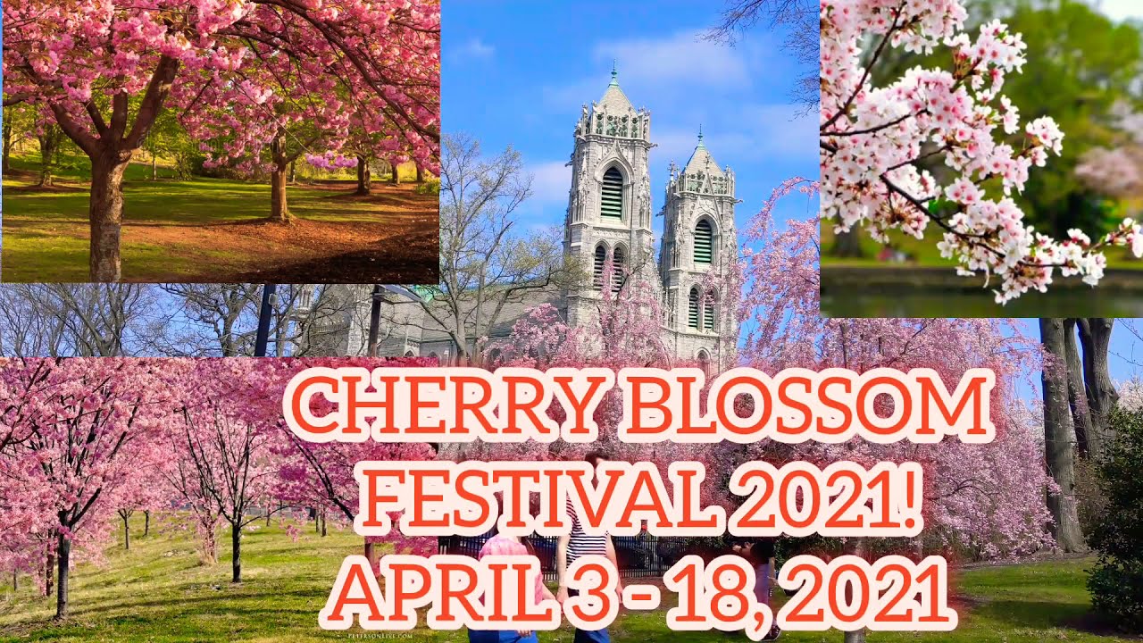 Newark Cherry Blossom Festival 2022 Moon Festival 2022