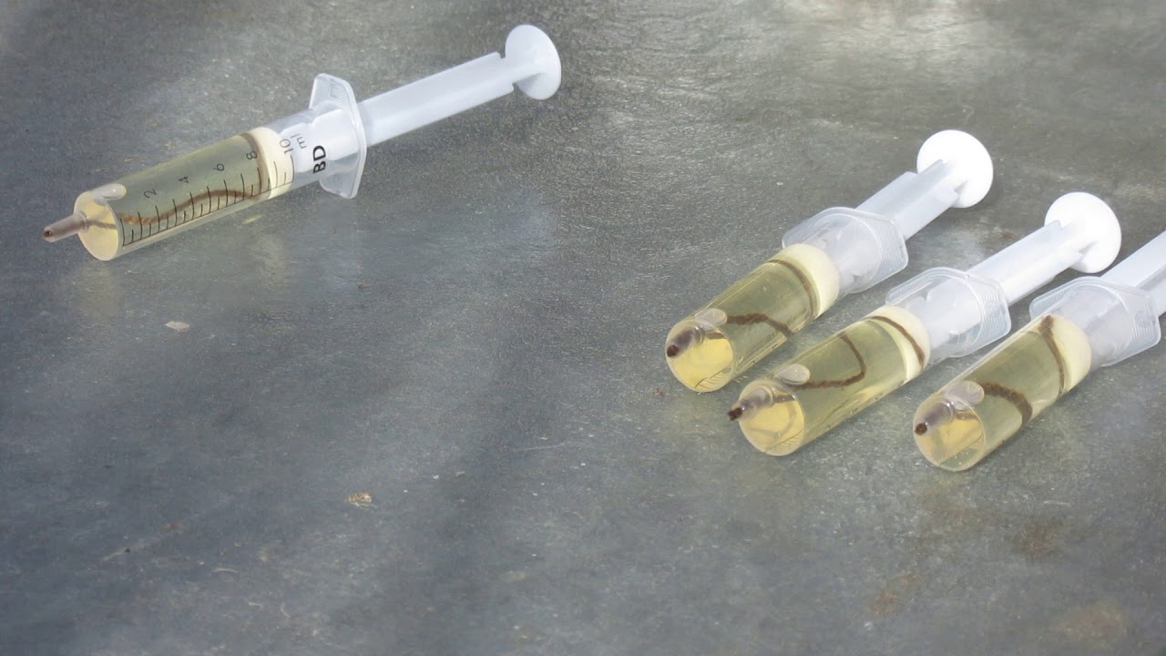 Mini parownik kwasu mrówkowego. 2019r03.17 .W PASIECE