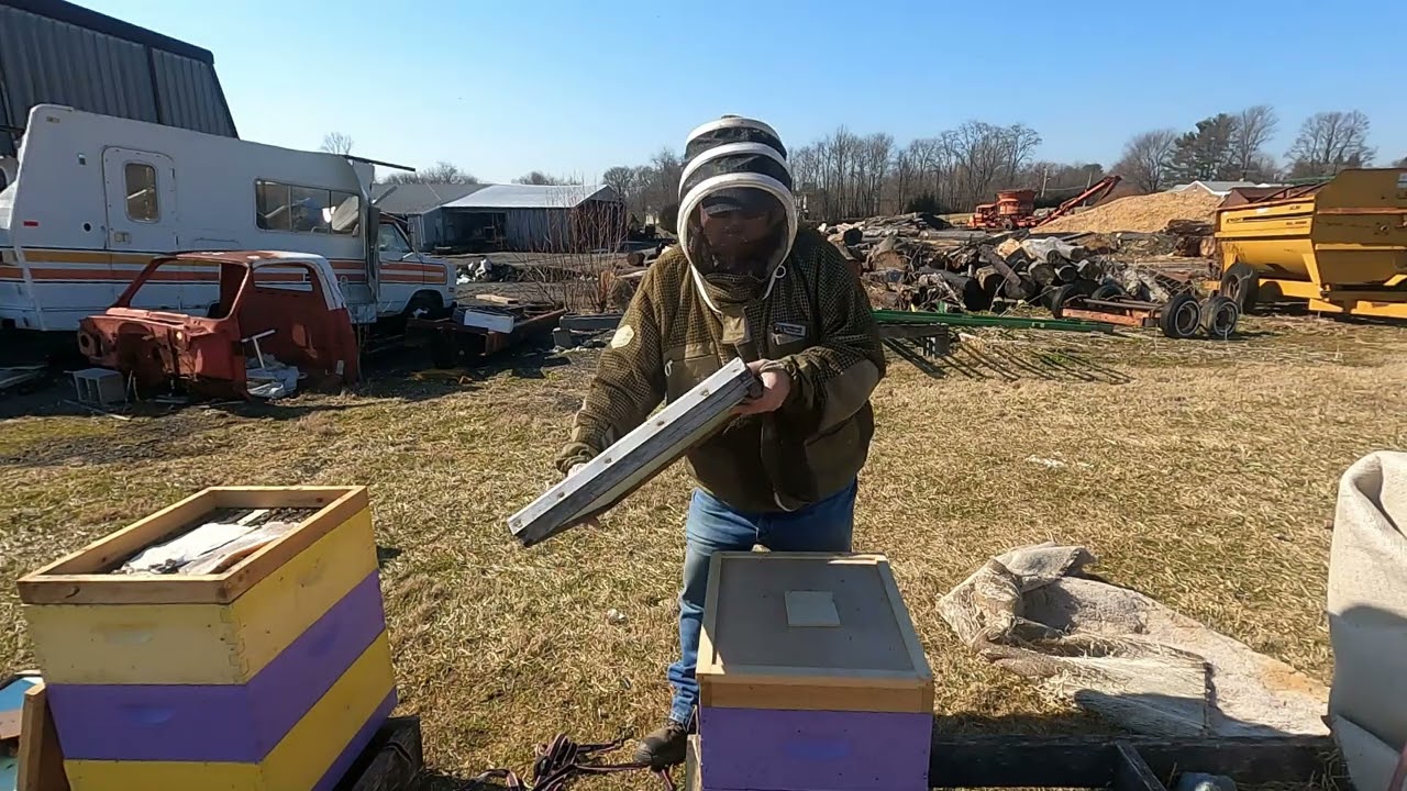 Feb 28, 2026 Checking The Hives