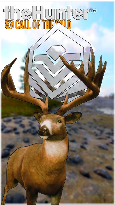 The Hunter Call Of The Wild Diamond Whitetail Deer I Got A DIAMOND WHITETAIL DEER the Hunter | Call of the Wild - YouTube
