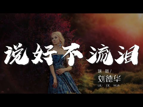 說好不流淚 劉德華 傷心的滋味 說好不流淚 動態歌詞Lyrics