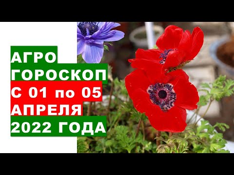 Агрогороскоп с 01 по 05 апреля 2022 года