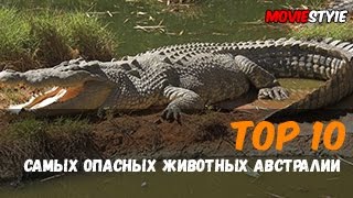 Топ 10 самых опасных животных в Австралии(Видео ролик представляющий из себя ТОП 10 самых опасных животный живущих в Австралии, хотя я думаю все мы..., 2016-06-05T14:45:26.000Z)