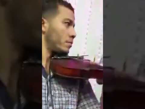 الشيخ ياسين التهامي مولد الشيخ أحمد أبوشامه ساقلتة سوهاج 2021 الجزء الثانى