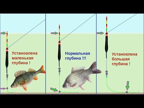 ОГРУЗКА ПОПЛАВКА ПОД ИДЕАЛЬНЫЕ УСЛОВИЯ ЛОВЛИ! Memancing. Fishing. câu cá. ประมง. Рыбалка