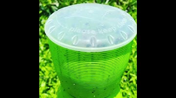 iCatchi Fly Trap
