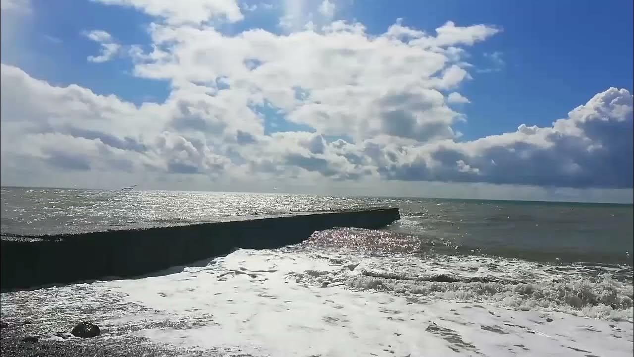 Дул влажный ветер с залива. Ветер с моря дул. Ветер с моря дул картинки. Натали ветер с моря дул обложка. Картинка ветер с белого моря задувает.