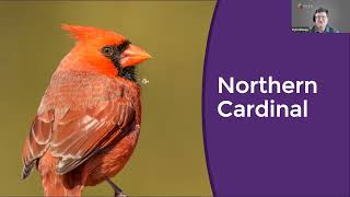 Information iNat CSI: HOW TO IDENTIFY & PHOTOGRAPH BIRDS Guide