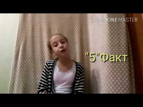 15 ФАКТОВ ОБО МНЕ💕Я ПОЛУЧИЛА ОСКАР🏆