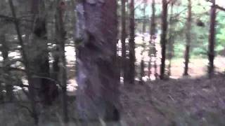 Hogmoor motocross