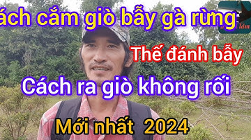 Hướng dẫn cách bẫy gà rừng, trọn thế cắm giò, cách ra giò dể dàng và hiệu quả.Cho mùa giải 2024-2025