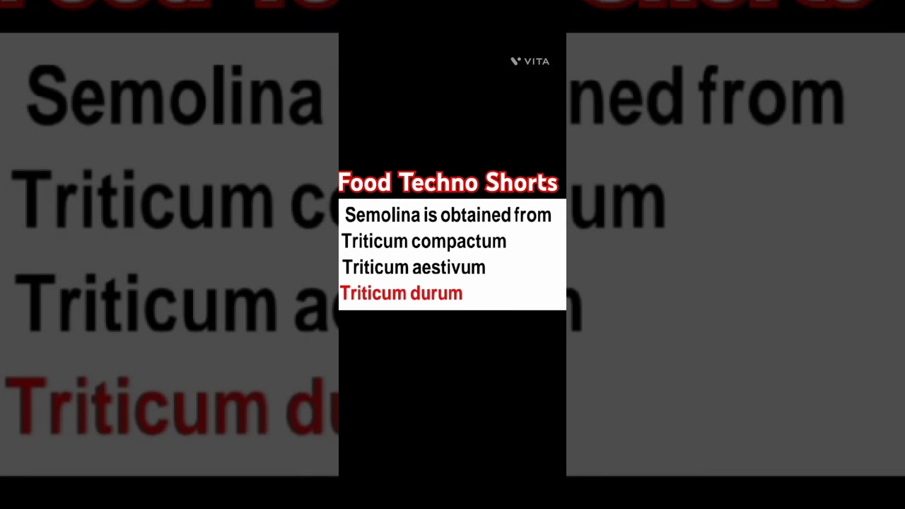 FoodTechnoShorts 