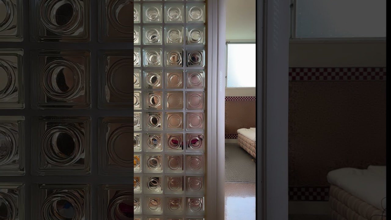 ガラスの向こうからこんにちは♪