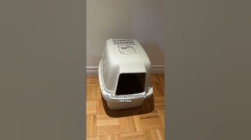 3 TIPS for switching your LITTER BOX?!