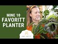 MINE 10 FAVORITTPLANTER