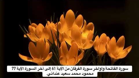سورة الفاتحة وأواخر سورة الفرقان من الآية 61 إلى آخر السورة الآية 77 . القارئ محمود محمد سعيد عنداني