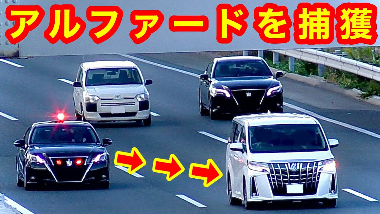 覆面パトカーがアルファードを捕まえる‼️】覆面パトカー 取締り 高級