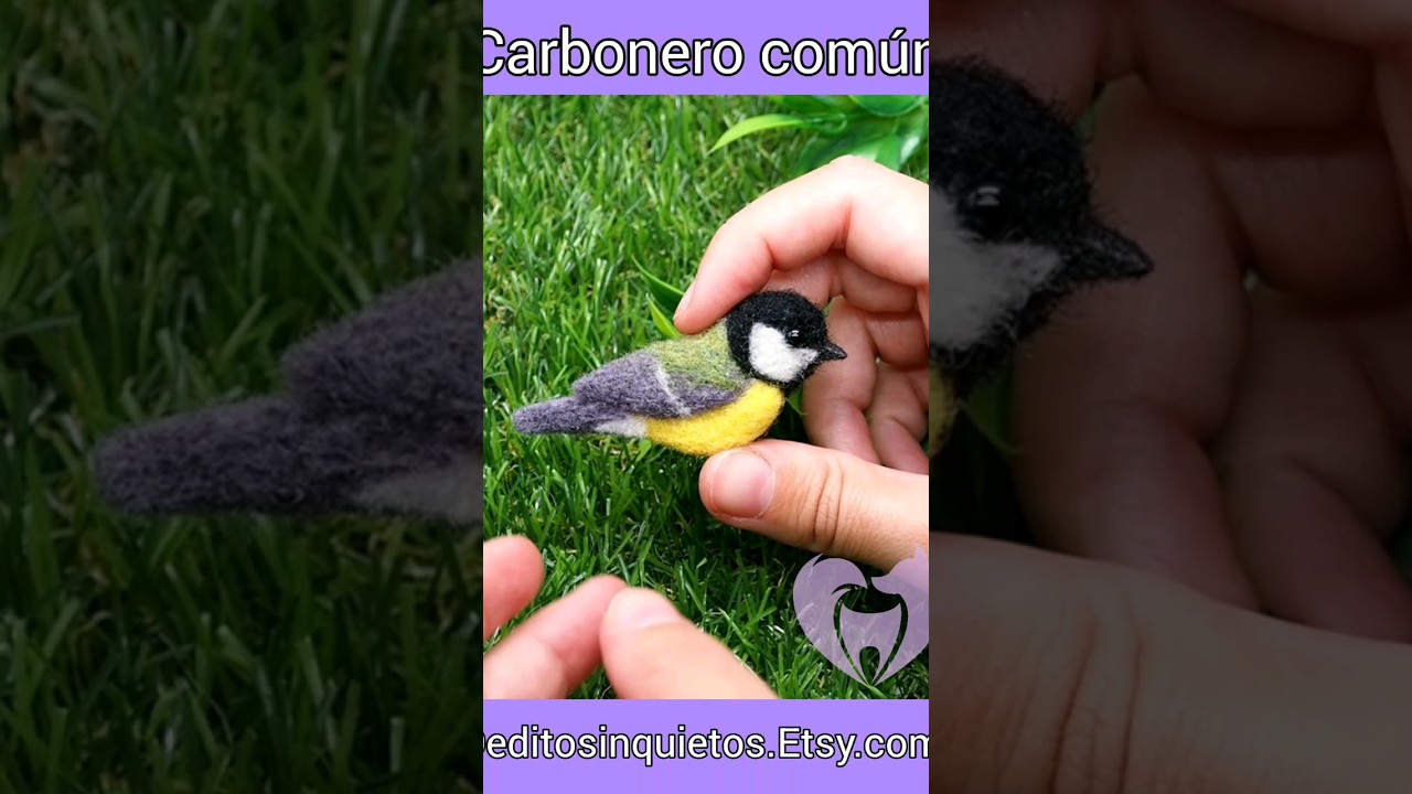 🌟 El carbonero común. Un ave habitual de nuestros bosques 💜