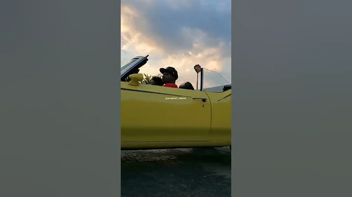 #cutlass #vert on @Forgiatos