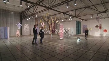 Cohesion of Dutch Invertuals at DDW2014