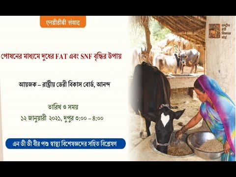 ভিডিও: প্রাকৃতিক দুধে ফ্যাট সামগ্রীর শতাংশ কত?