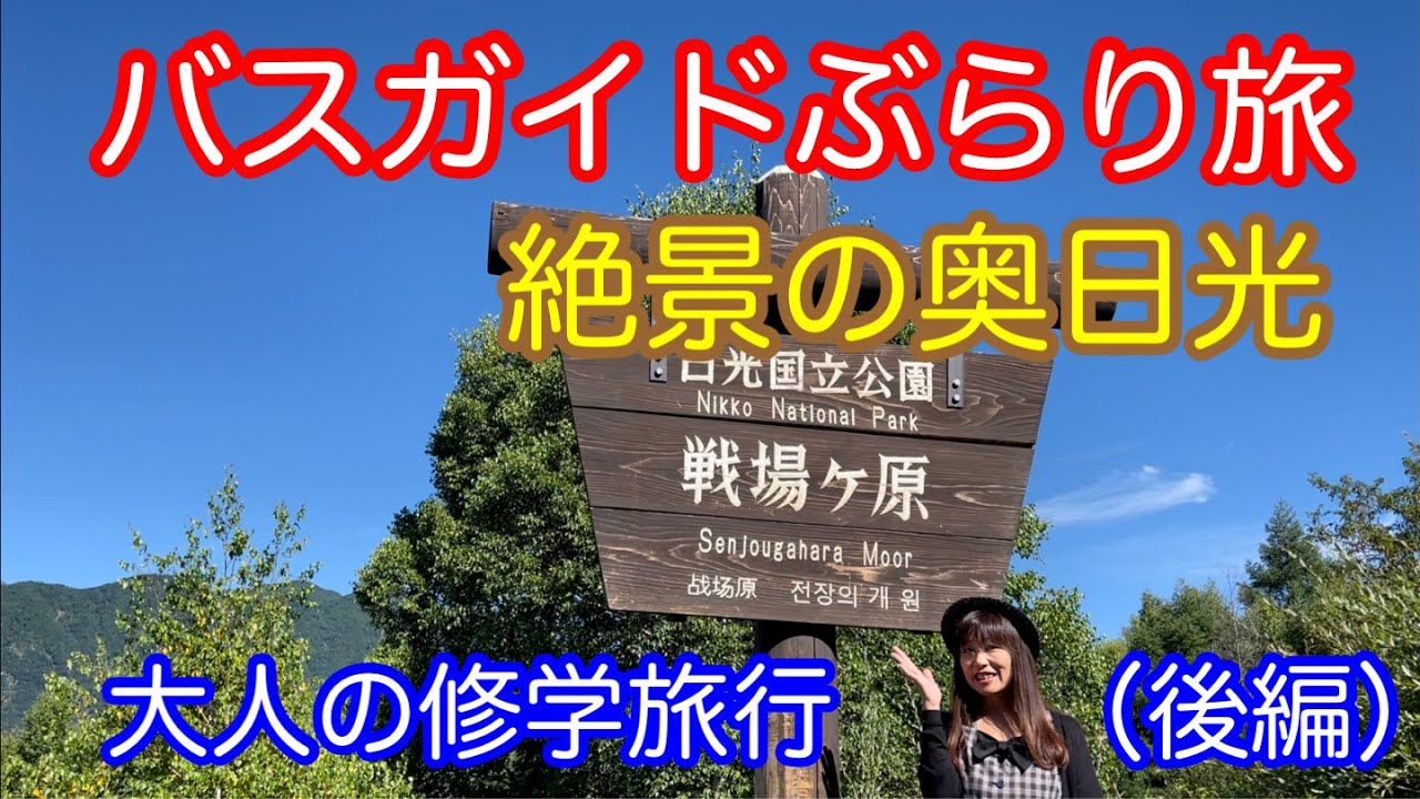 Bus Guide Travel Vol.81: The Spectacular Oku-Nikko School Trip for