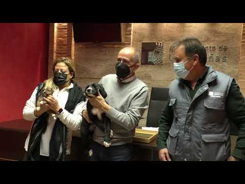 Adopción Perros Centro Canino Noticia Informativos 21/12/2021