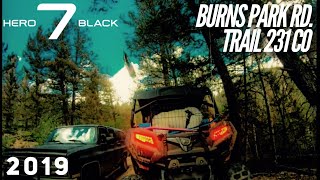 Burns Park Rd. Trail 231 CO