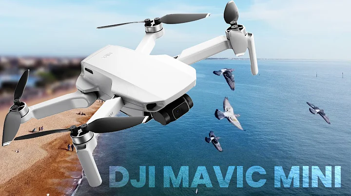 DJI Mavic Mini - Fly More Combo | Unboxing & Review