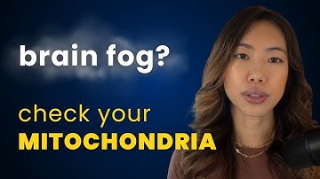 Brain Fog Isn’t in Your Head — It’s in Your Cells