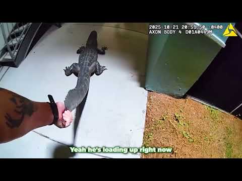 Florida Cops Face Off Against Angry Gator