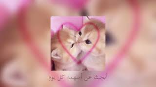 cupid twin ver.💘 مترجمه (sped up)