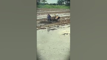 Modern agricultural process of plowing rice fields with tractor machines #shorts