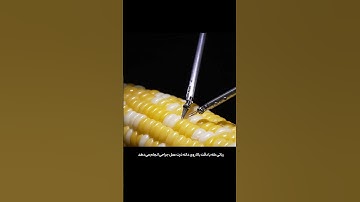 وقتی دقت هوش مصنوعی از انسان هم بیشتر می‌شه