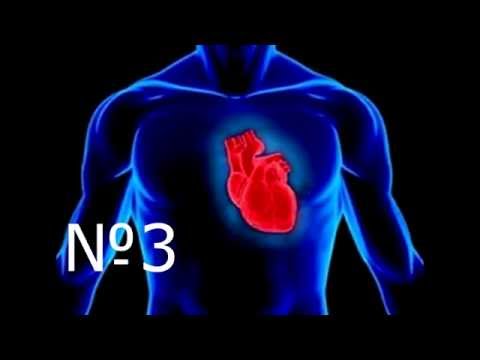 10 интересных фактов