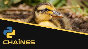 Chaînes de caractères | Python - EP15