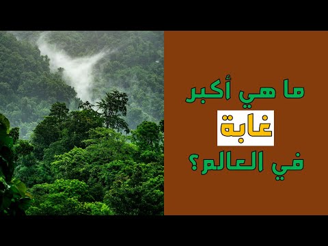 ما هي أكبر غابة في العالم أسئلة ثقافية ممتعة الجغرافيا 26