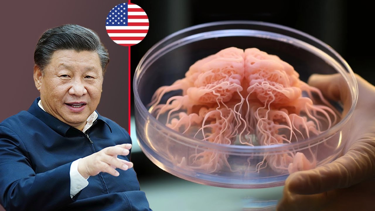 Ce Cerveau Humain va servir d'ordinateur, la CHINE sous le CHOC !