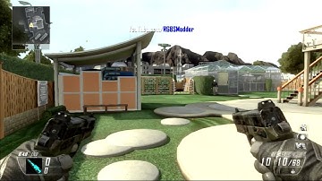 BO2 Mod Menu 1.19 Fuck Sony V8 + Download