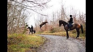 Passion Nature N°9: les coulisses de la chasse à courre