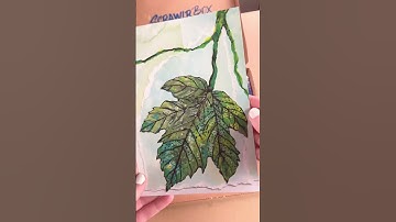 Open a ScrawlrBox with me! #shorts #scrawlrbox #art