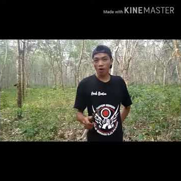 Wong deres ISO ekziz
