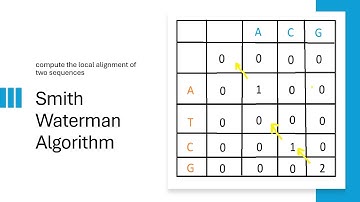 Smith-Waterman Algorithm: Local Sequence Alignment Made Easy! (With Example)